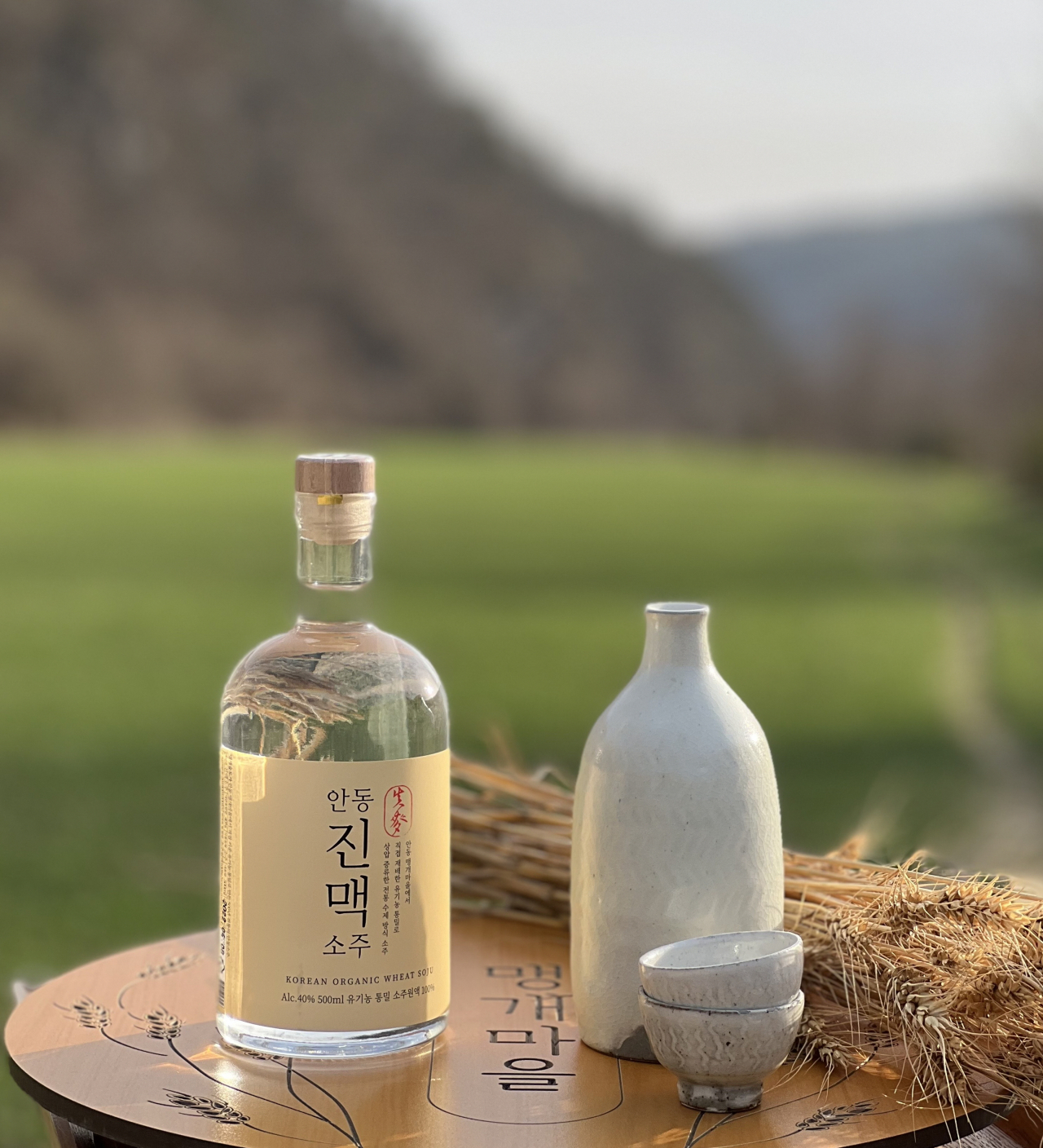 안동 진맥소주.[안동시 제공]