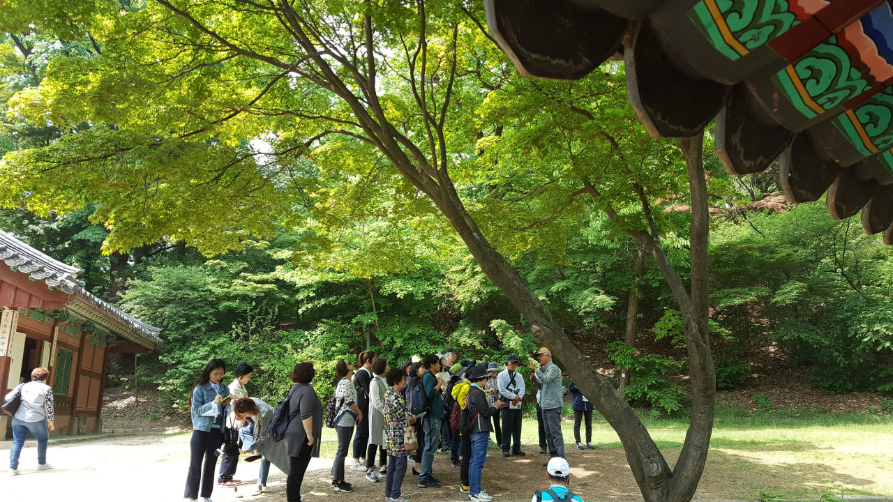 창덕궁 나무답사