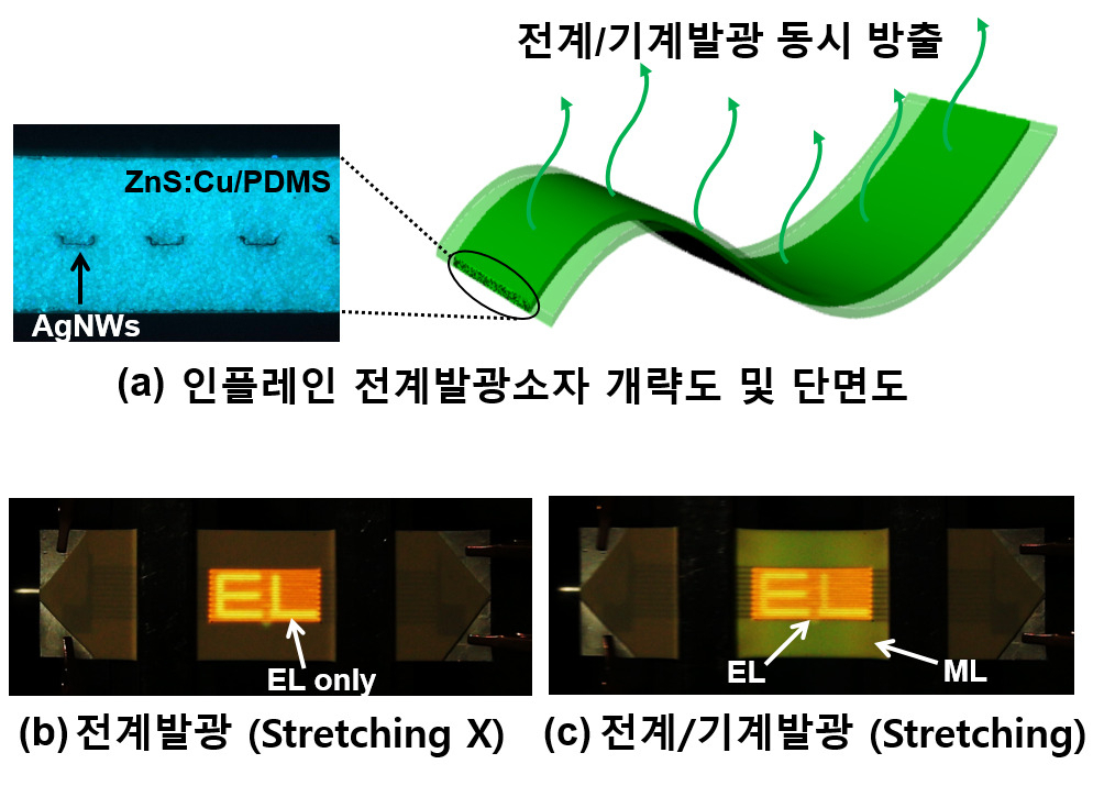 인플레인 전계발광소자의 개략도 및 발광양상.[DGIST 제공]