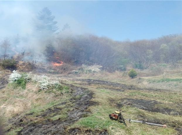 전북 남원 산불 현장 장면(산림청 제공)