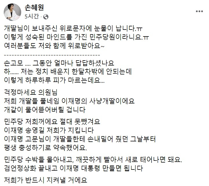 손혜원 전 더불어민주당 의원 페이스북 일부 캡처.