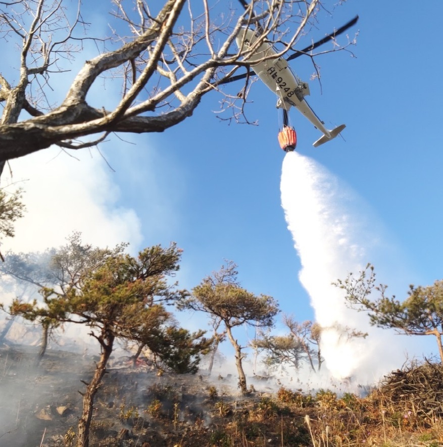 산림청 헬기가 신속진화를 위해 산불현장에 물을 투하하고 있다.(제공: 산림청)
