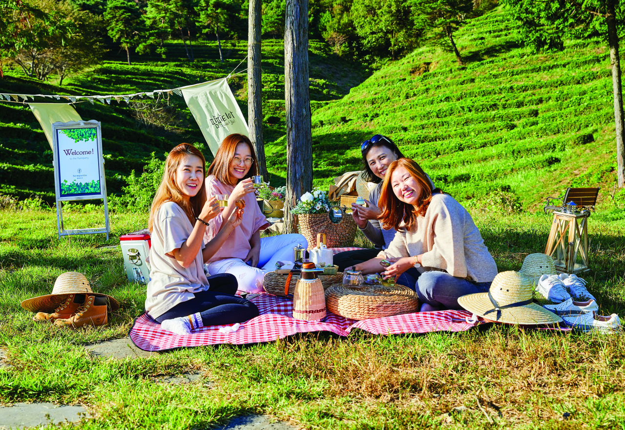 보성 차밭여행