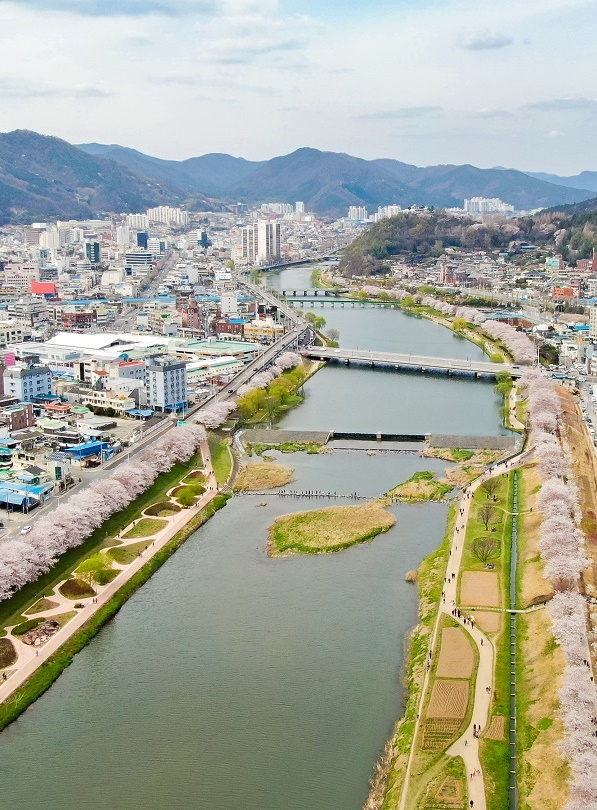 순천 원도심을 가로 지르는 동천의 봄 풍경. [순천시 제공]