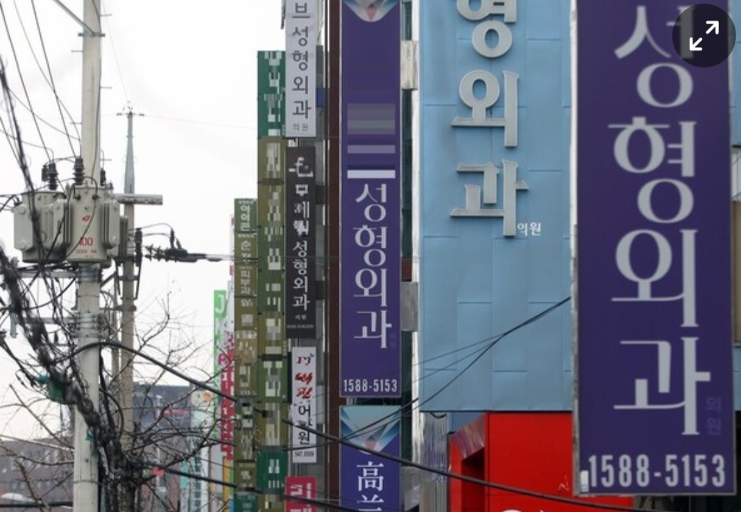 서울 강남구 압구정동 성형외과 거리. [연합]
