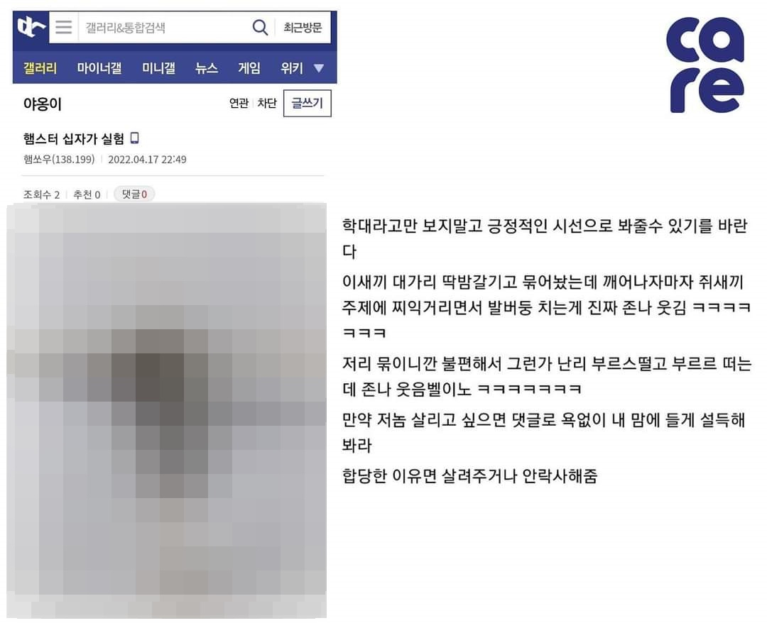 [단독] 또 올라온 ‘햄스터 십자가’…동물보호단체, 학대범 고발