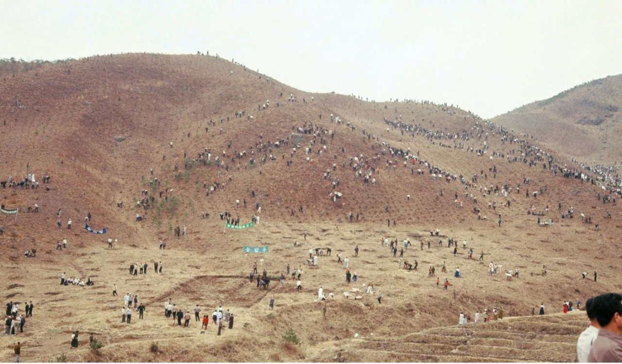 지난 1971년 경기도 광주 황폐산지 조림 사진