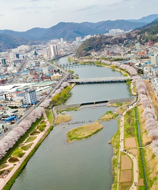순천시 원도심을 관통하는 동천 봄 풍경. [순천시 제공]