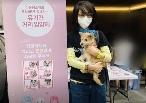 [TV조선 방송 화면 캡처]