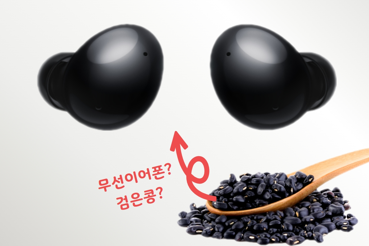 삼성전자 무선이어폰 갤럭시버즈2 오닉스 모델 [삼성전자 제공]