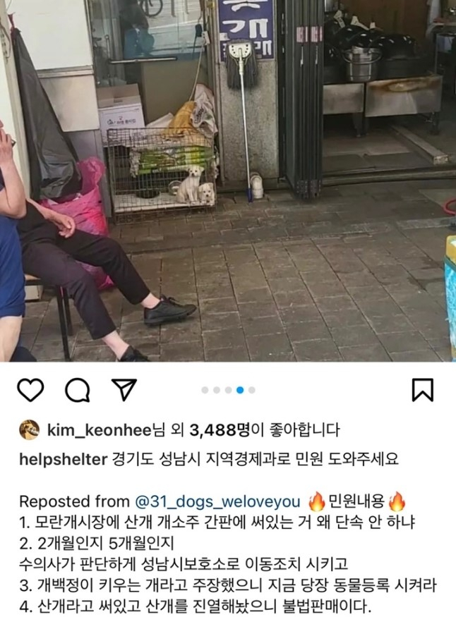 [인스타그램]