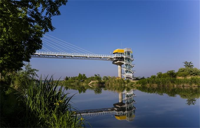 금빛노을브릿지 전경 [부산시 제공]