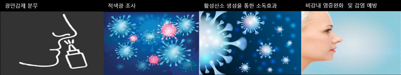 비강 스프레이 니로딜라이트 작동원리.[클립아트 코리아 제공]