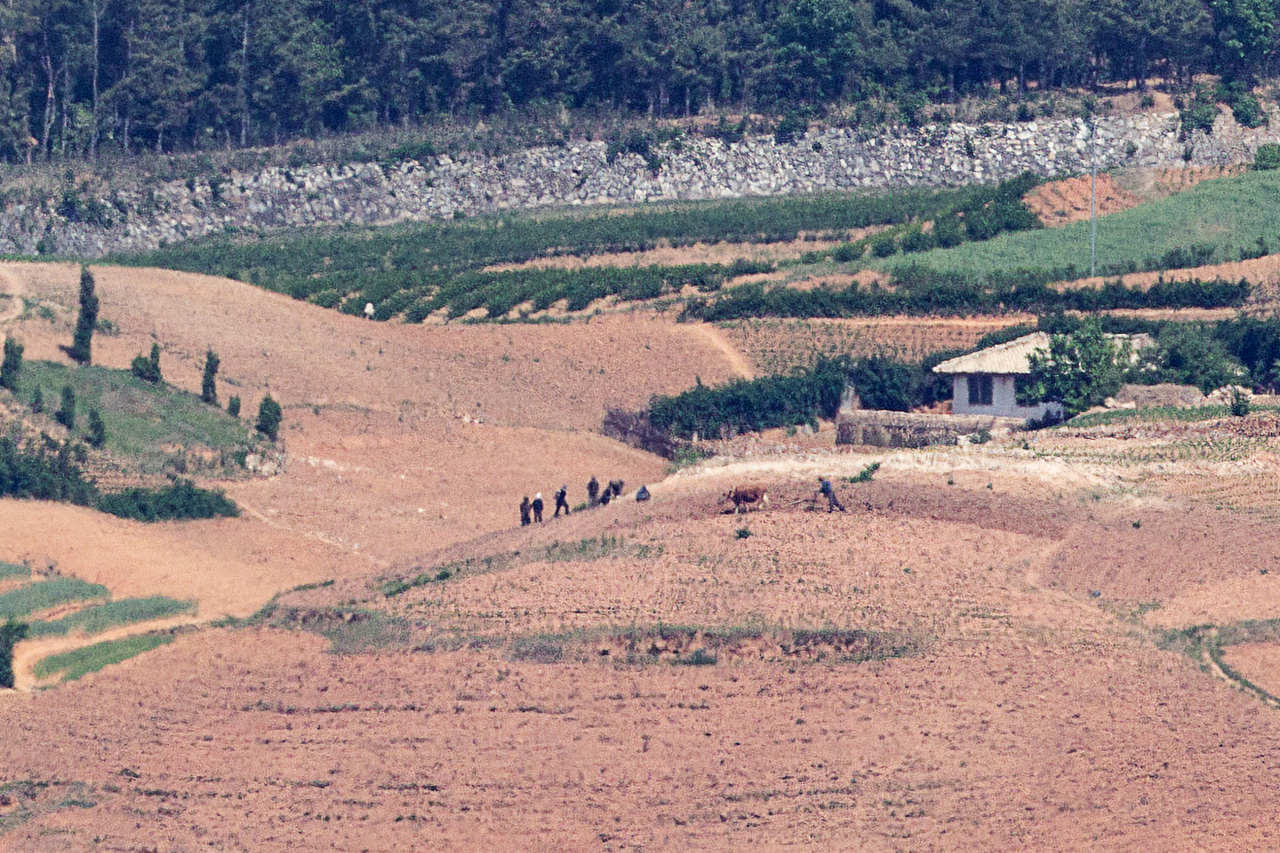 13일 경기도 파주시 오두산 통일전망대에서 바라본 북한 황해북도 개풍군 모습. 북한 주민들이 농사일하고 있다. [연합]