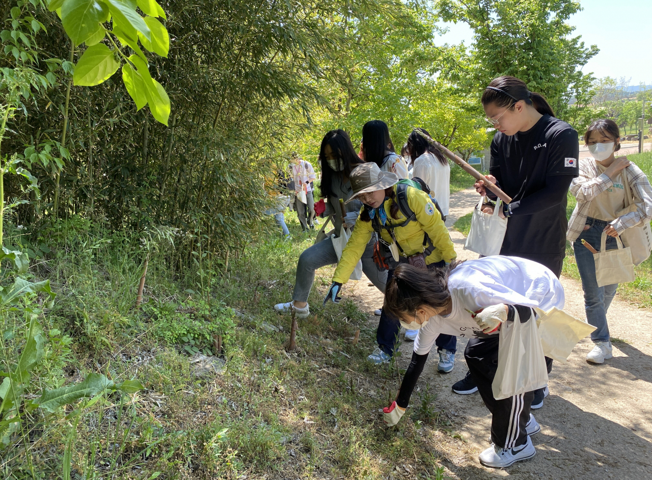 죽순캐기 체험
