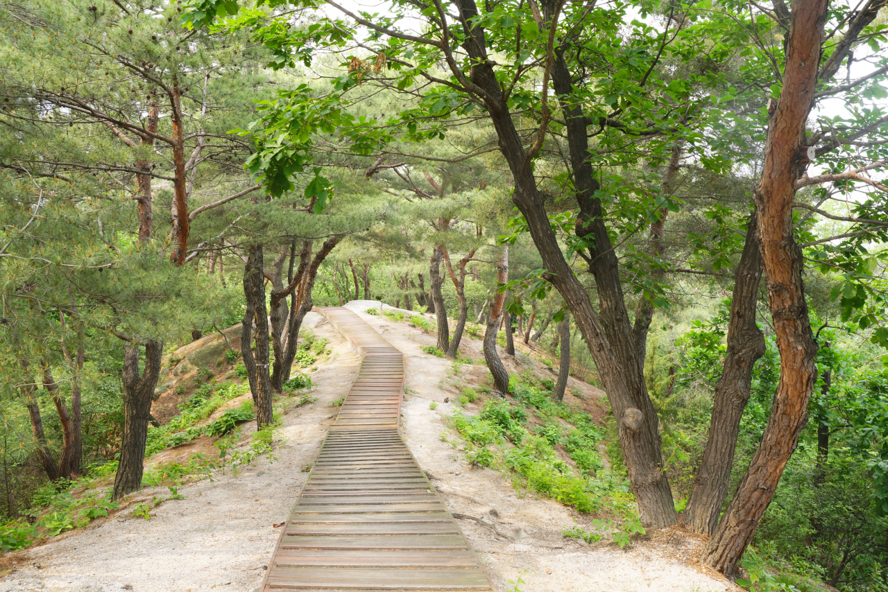 의릉 산책로