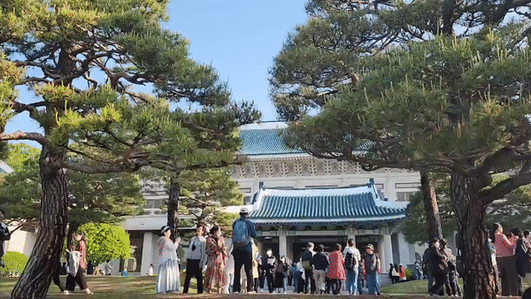 청와대 경내 모습. [이원율 기자]