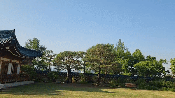 청와대 경내 모습. [이원율 기자]