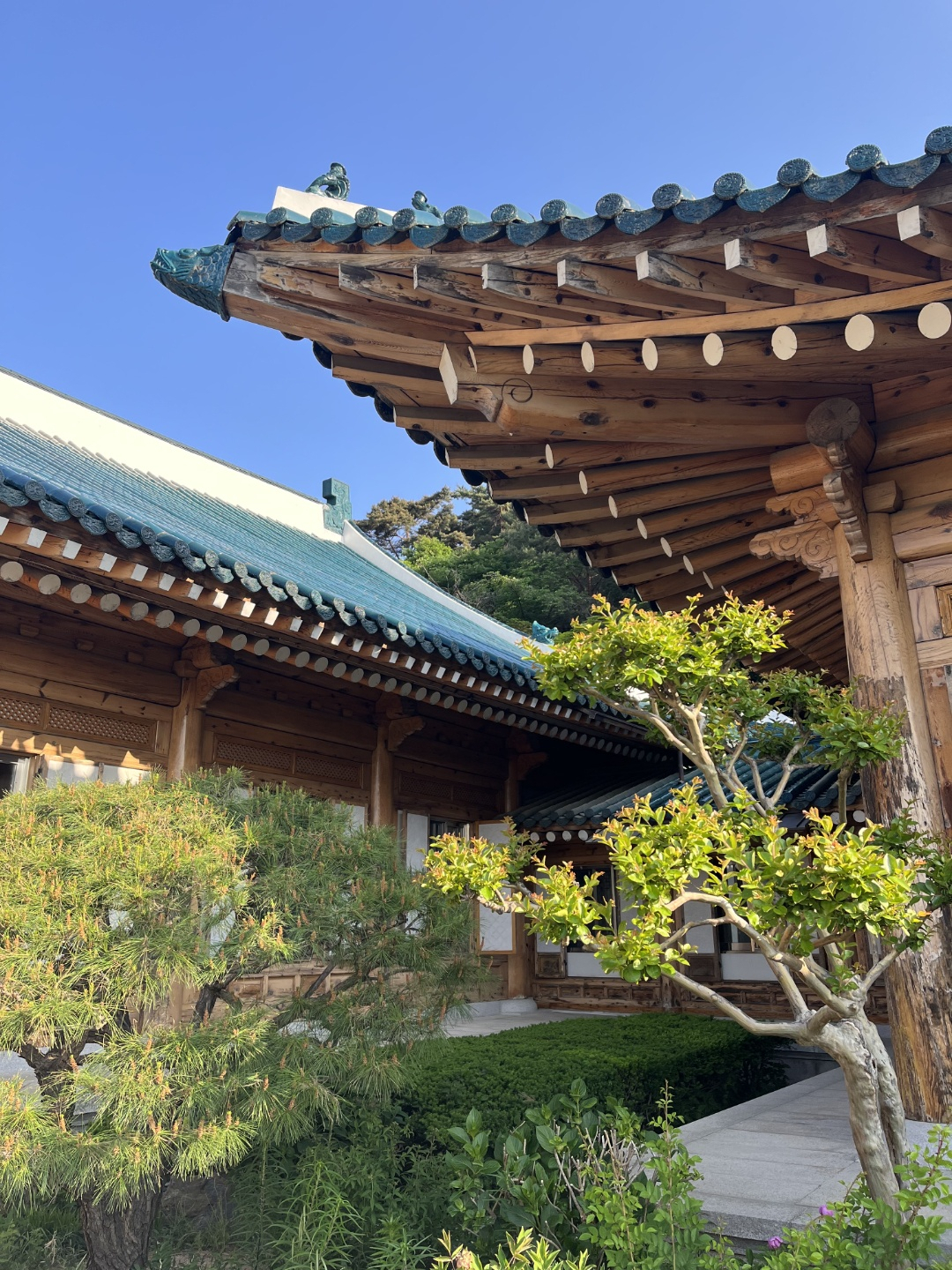 청와대 경내 모습. [이원율 기자]
