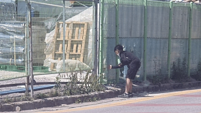땡볕 속 목줄에 매인 강아지가 걱정돼 길을 가던 소년이 자신이 아껴 마시던 음료를 강아지에게 내밀었다. 서인주기자