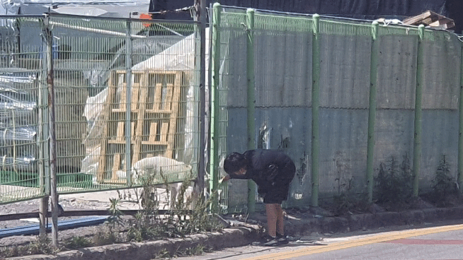 소년이 자신이 마시던 음료를 강아지에게 전해줬다. 백구는 꼬리를 흔들며 고마움을 표시했다. 서인주 기자