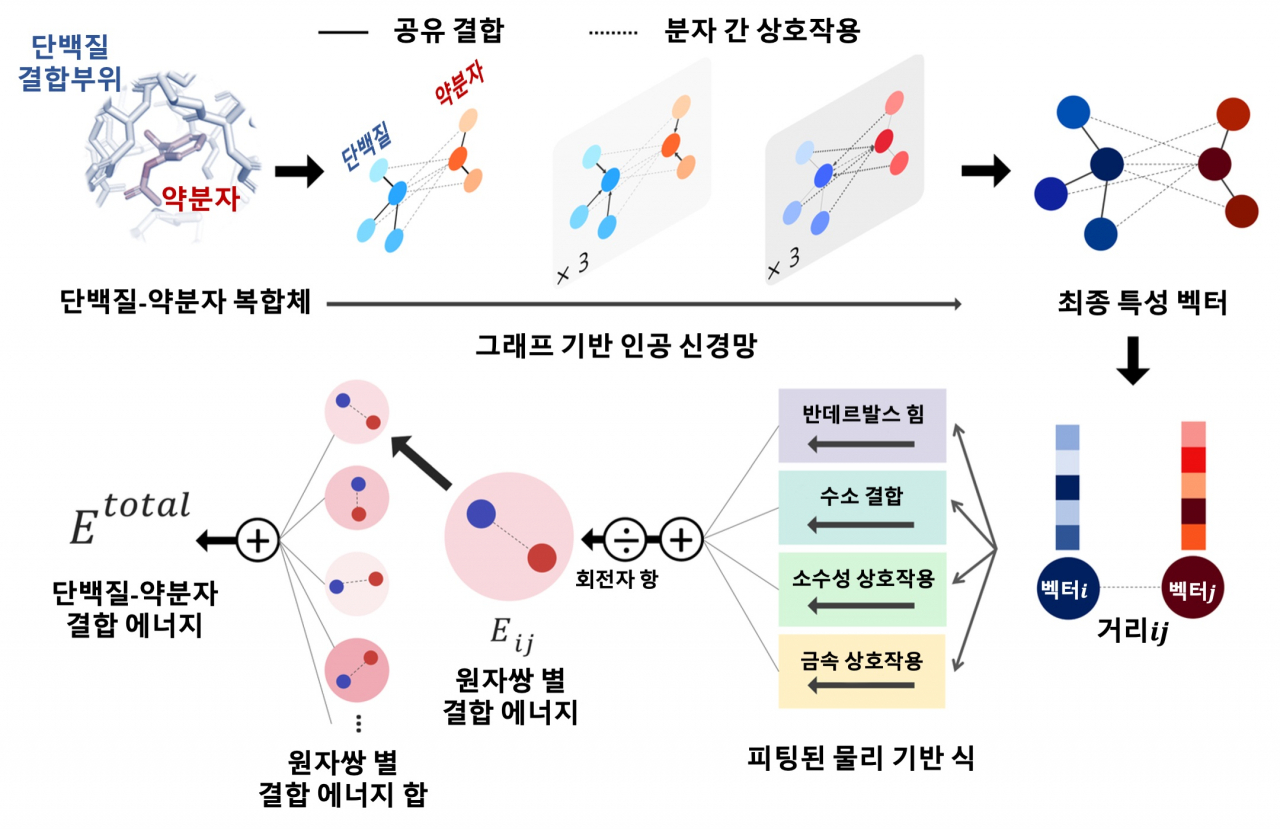 단백질-리간드 간 상호작용 예측 모델 개요도.[KAIST 제공]