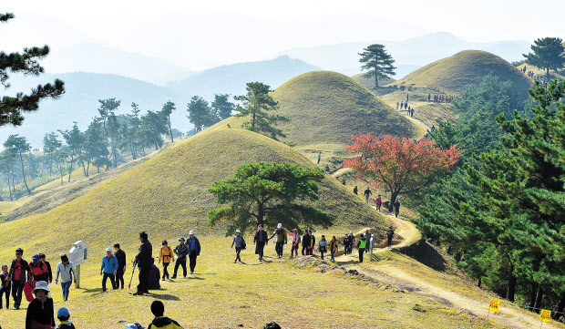 고령 지산동고분군 전경. [고령군 제공]