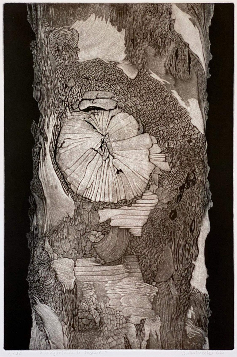 지혜로움의 알레고리, 채색 동판화, 20&times;30cm 2020