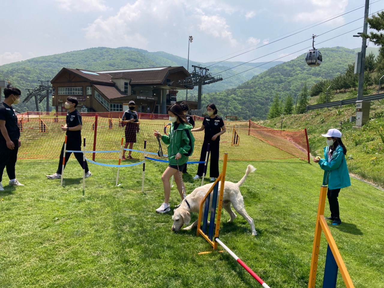 펫 놀이터