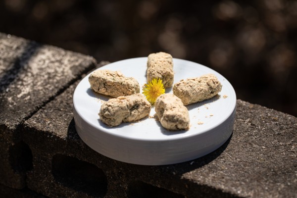 [Temple to Table] Precious, revitalizing ingredient: Ssuk injeolmi