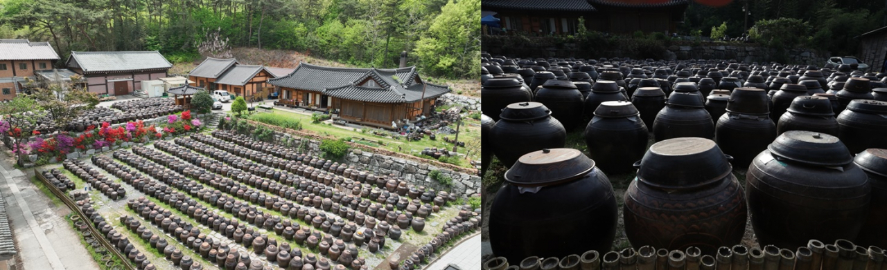 각종 장이 보관된 장독대 모습 [대상 제공]