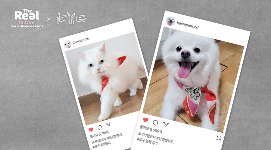 [하림펫푸드 제공]