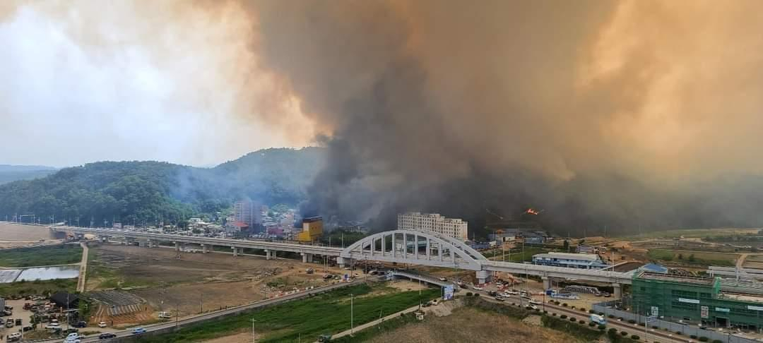 28일 낮 12시 6분께 경북 울진군 근남면 행곡리 야산에서 난 산불로 생긴 연기가 울진군을 뒤덮고 있다. 산림과 소방당국은 현장에 헬기 20여대와 특수진화차 등을 투입해 진화작업을 벌이고 있다. [연합]
