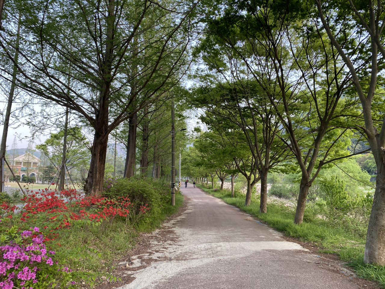 전주 바람쐬는 길