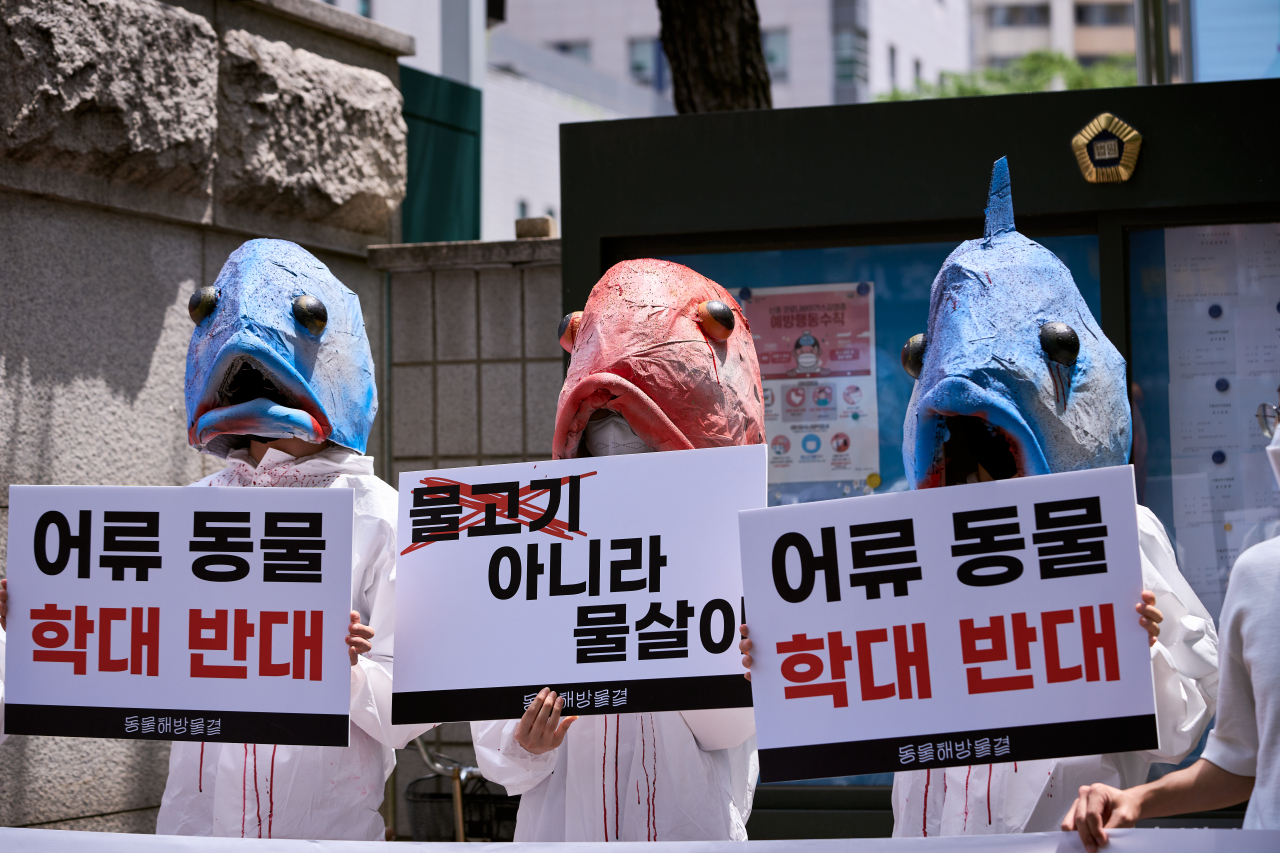[동물해방물결 제공]