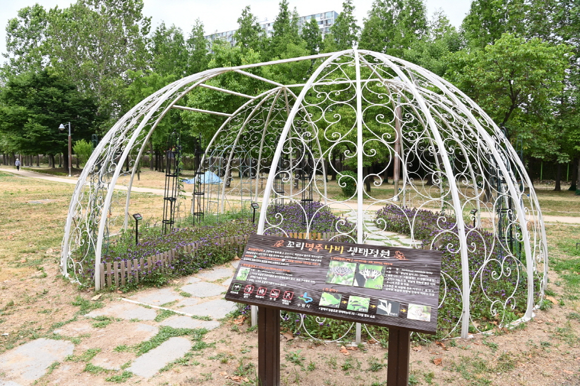 [수원시 제공]