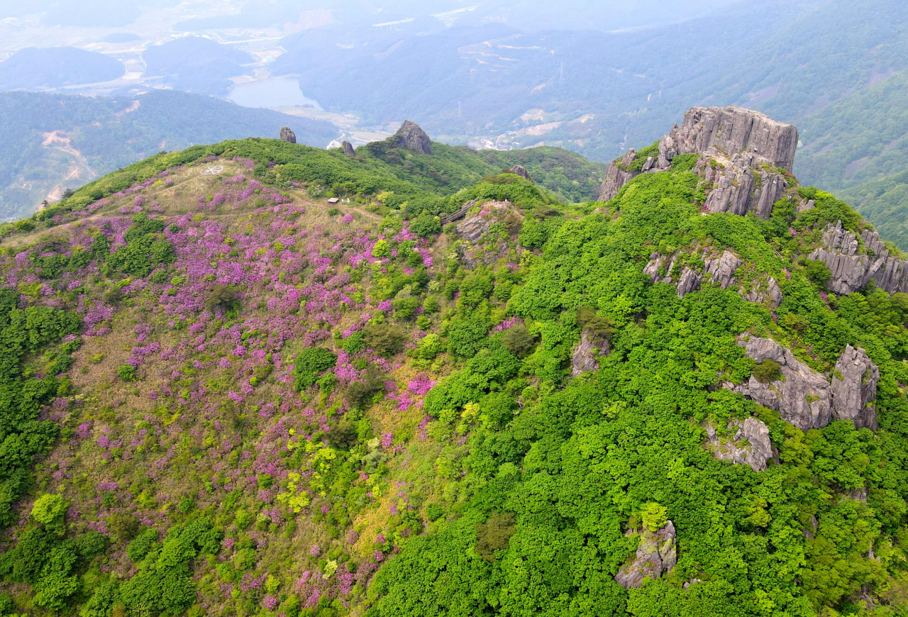 제암산 6월 주인공 멤버 체인지