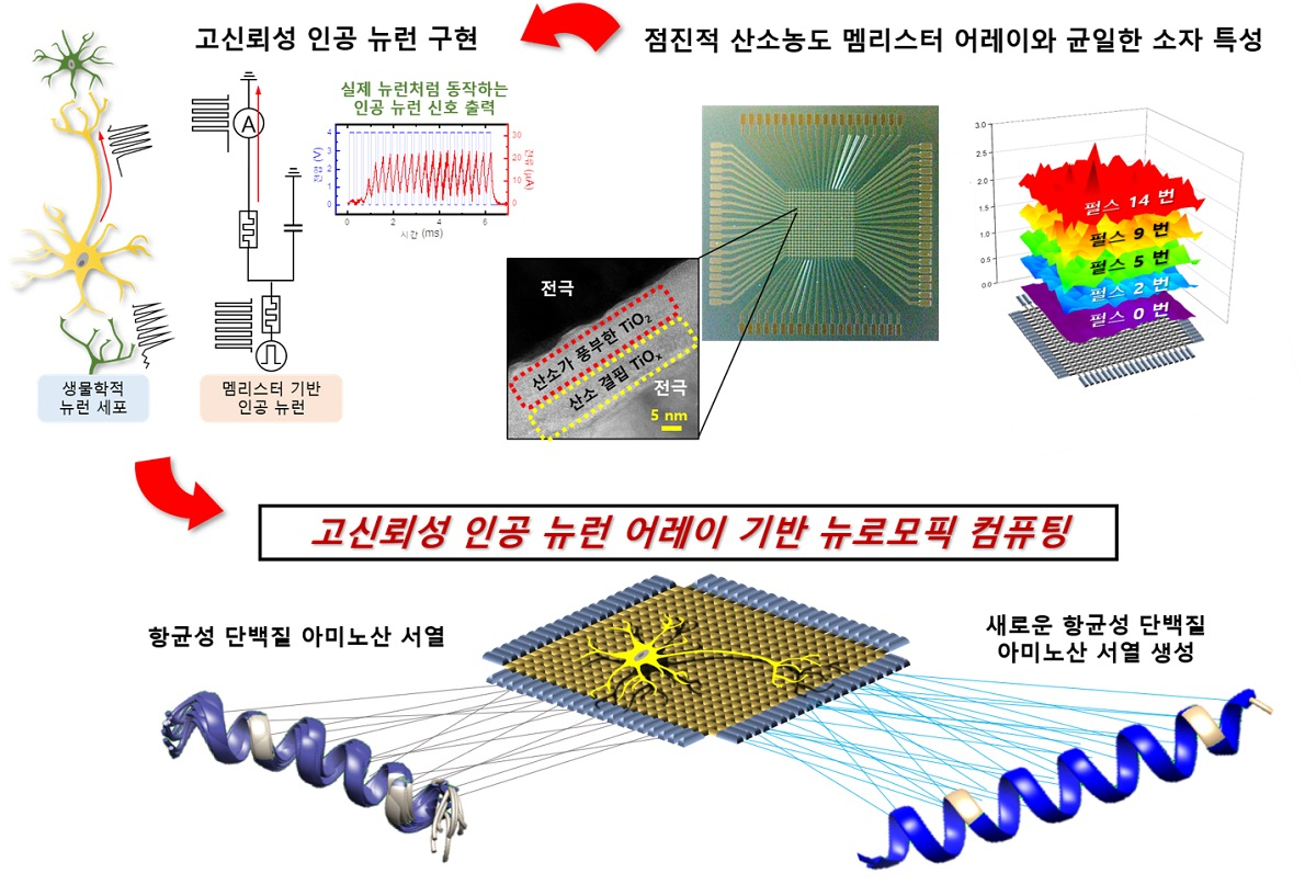 이번 연구에서 구현한 뉴로모픽 컴퓨팅 개념도.[KAIST 제공]