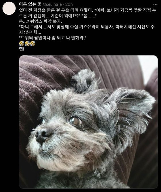 [문다혜씨 트위터]