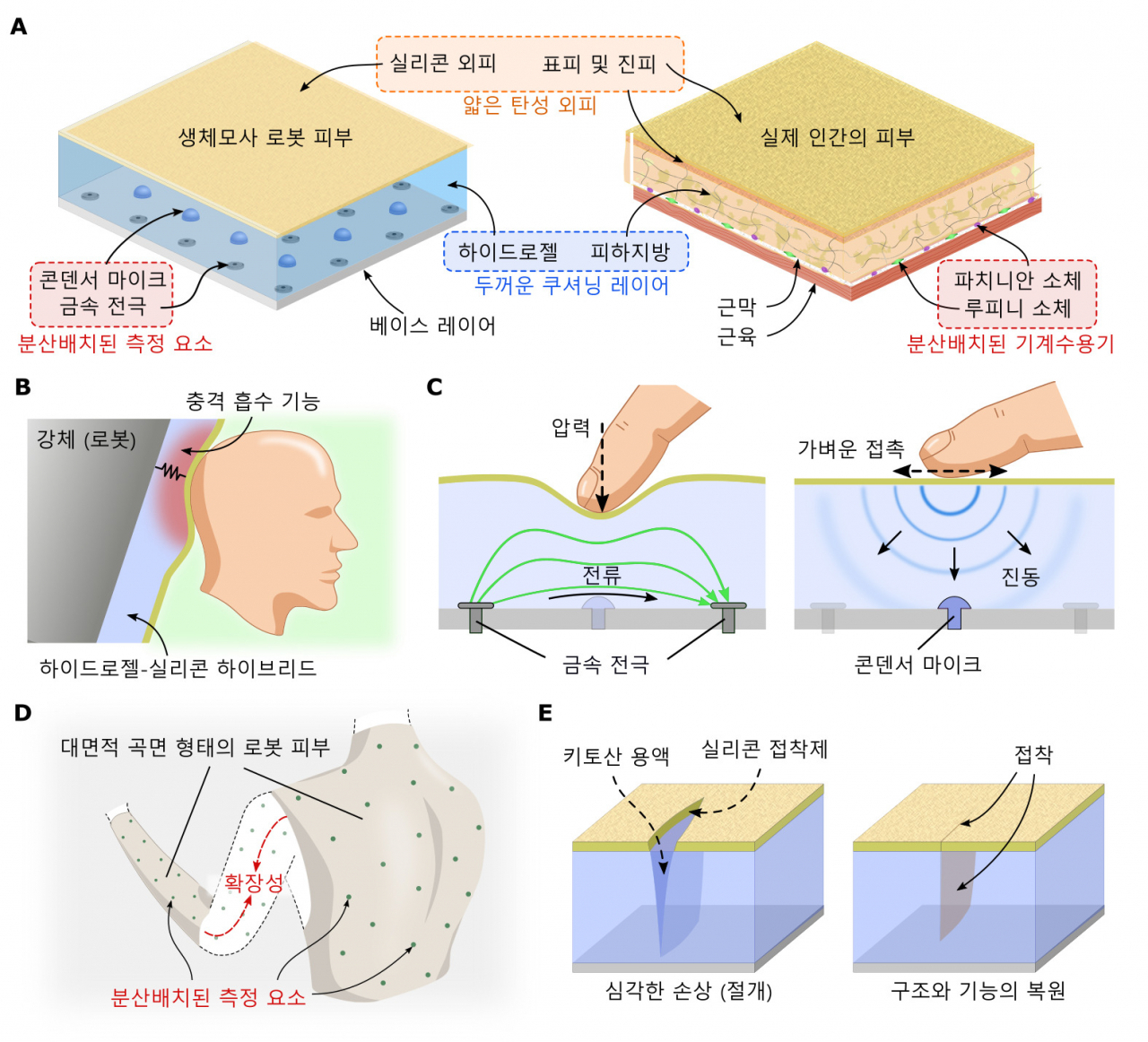 생체모사 다층구조 개념도와 특징(충격흡수, 촉각 인지, 대면적 확장성, 치유능력).[KAIST 제공]