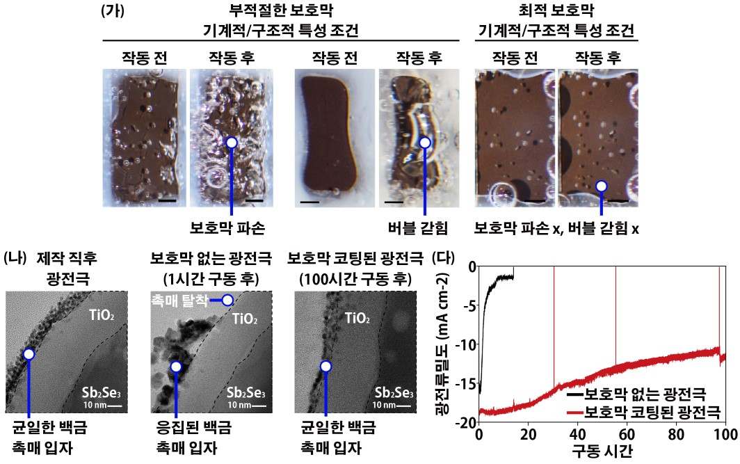 최적 조건 하이드로젤 보호막의 효과.[연세대학교 제공]