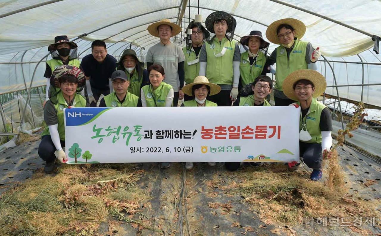 [사진=농협유통]