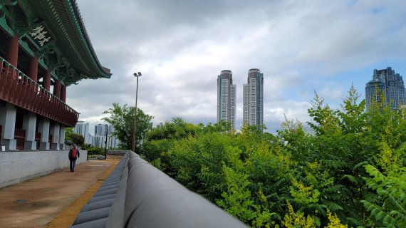 울산의 명소 태화루와 모감주나무 군락지 모습. [울산시 제공]