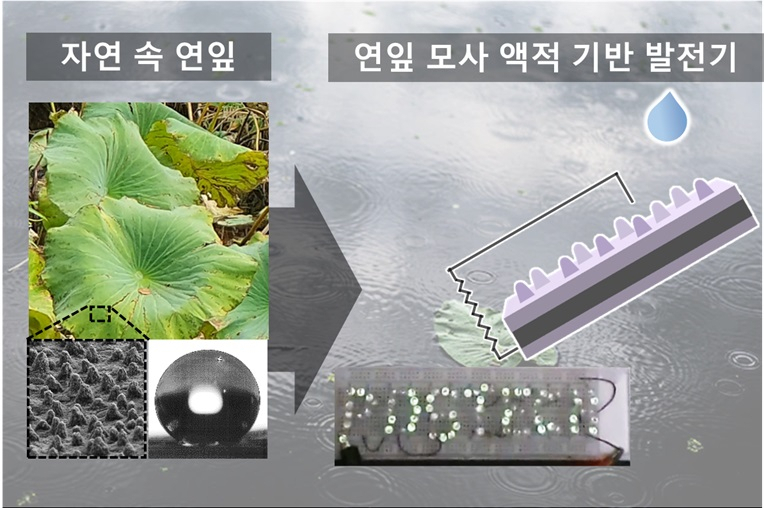 자연 속 연잎의 특징(마이크로미터(&micro;L)·나노미터(nm) 크기의 표면구조로 물을 흡수하지 않고 튕겨낼 수 있음)을 모사한 액적 기반 발전기를 이용하여 LED를 점등한 모습.[포스텍 제공]