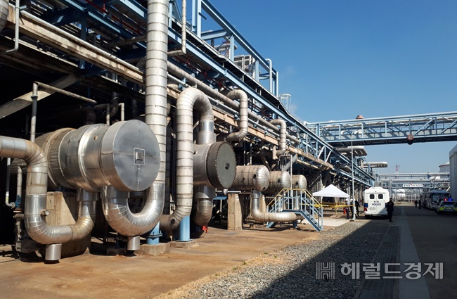 여수산단 지상에 노출된 배관망. /박대성 기자