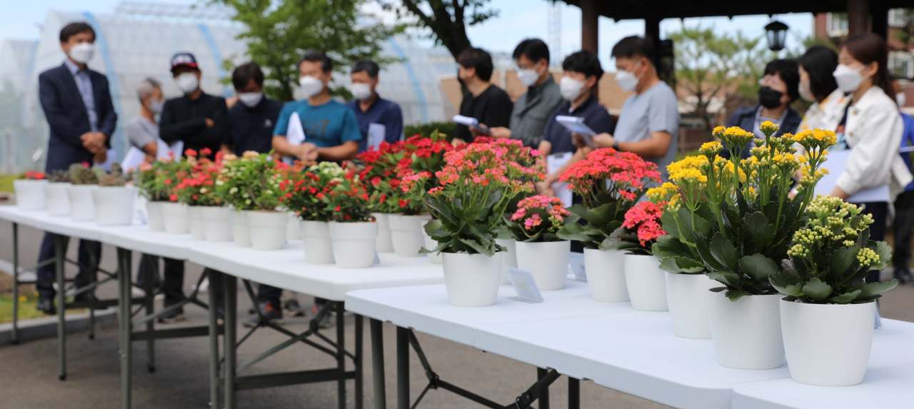 [경기도 농기원 제공]