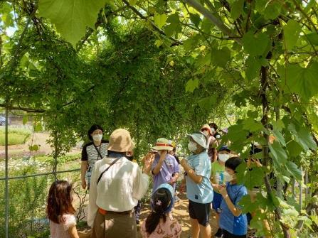 서울시농업기술센터에서 진행하는 ‘토요나들이’ 사진. [서울시 제공]