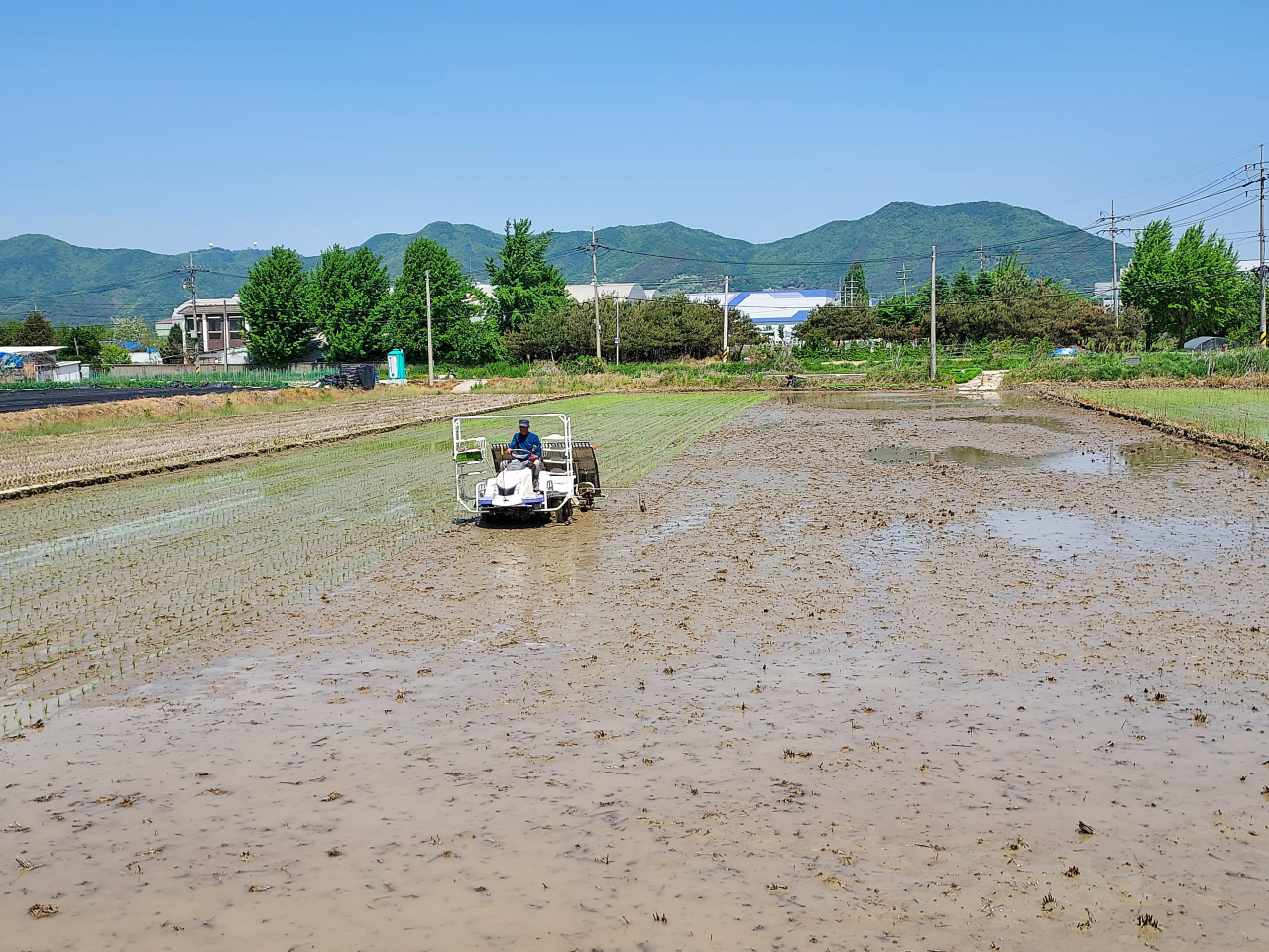 [용인시 제공]