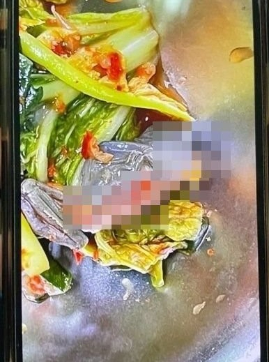 지난달 30일 서울의 다른 고등학교 급식에서도 개구리 사체가 나왔다. [트위터 캡처]