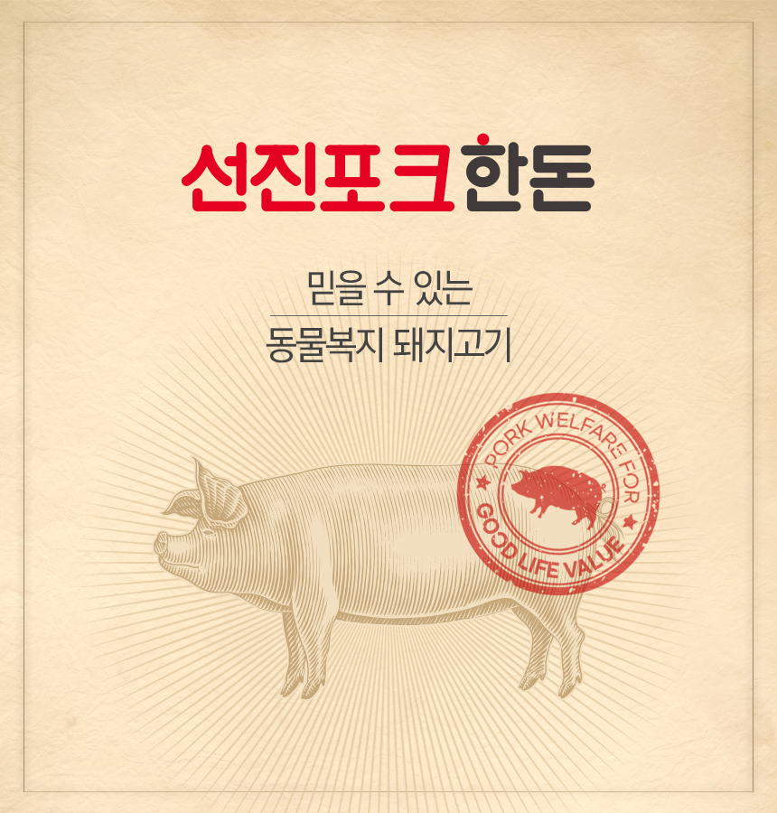 [선진 제공]